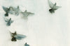 Doves
