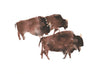 Bison Herd