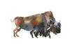 Bison Color