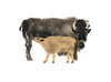 Bison and Calf 1