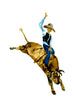 Bull Riding