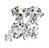 Dalmatians