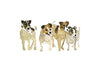 Terriers