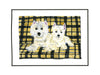 Westies